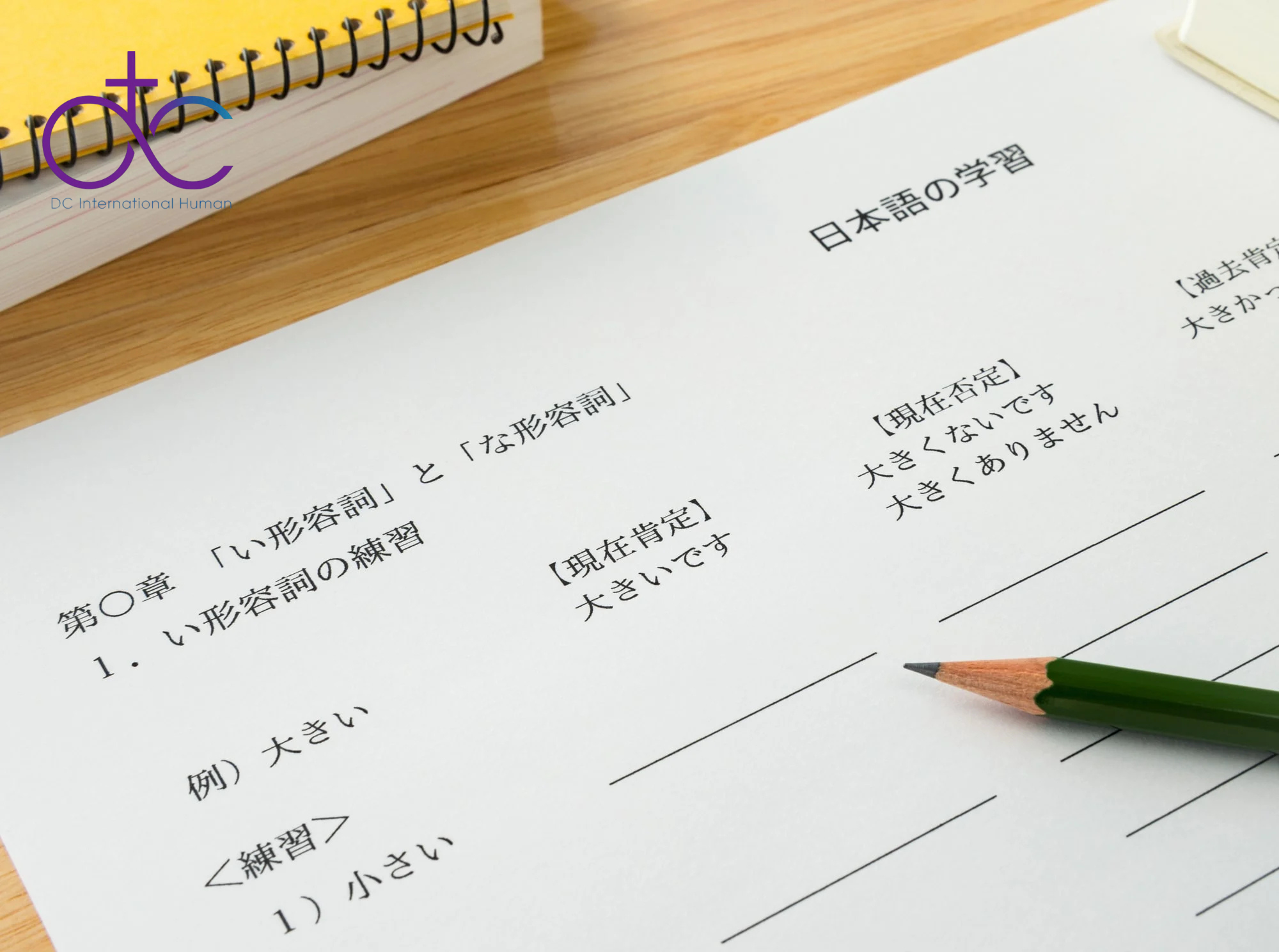 Bí quyết giúp học viên DC Human nhanh chóng đạt chứng chỉ N4