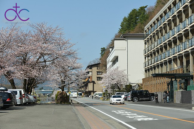 Cơ hội bứt phá sự nghiệp sau lộ trình học tiếng Nhật điều dưỡng tại DC Human